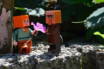 Fototapeta premium LEGO Minecraft figure of Alex giving pink chalice shaped flower to villager mob while standing on stone murral in real garden, summer daylight sunshine. 