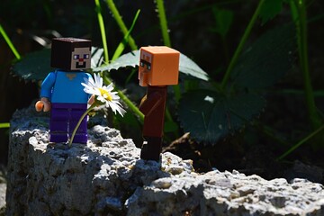 Fototapeta premium LEGO Minecraft figure of Steve in blue shirt giving daisy flower (latin name Bellis Perennis) in full blossom to villager mob, while standing on stony wall next to strawberry plants, summer daylight.