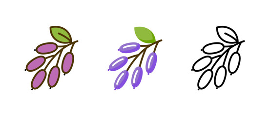 Barberine food icon. Barberry thyme rosemary indian plant organic vitamin.