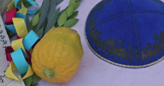 Sukkot decorations with the Jewish holiday traditional symbols with lulav, hadas, etrog and arava, symbols of Sukkot