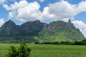 Pieter Both mountain viewed across a sugarcane field, Mauritius