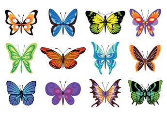 Naklejka na ściany i meble Collection of color butterfly. Hand drawn moth wings or insects. Tropical animals. Isolated vector icons set