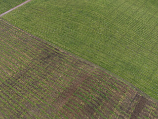 Vin&iacute;cola na cidade de Flores da Cunha vista de cima