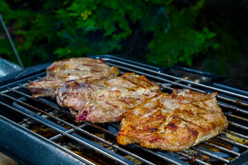 Baking grilled pork meat in the garden