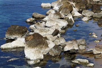 Stones and shells in a city park on the Mediterranean coast.
