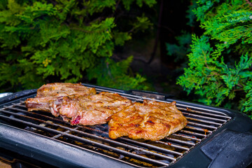 Baking grilled pork meat in the garden