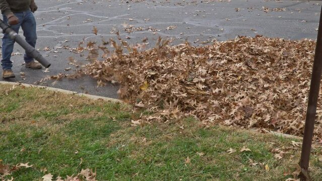 A municipal worker cleans fallen leaves near houses during the autumn season an uzing blower