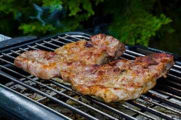 Baking grilled pork meat in the garden