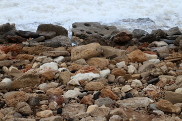 Stones and shells in a city park on the Mediterranean coast.