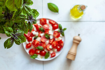 Caprese salad served under the basil plant, home gardening concept, top view