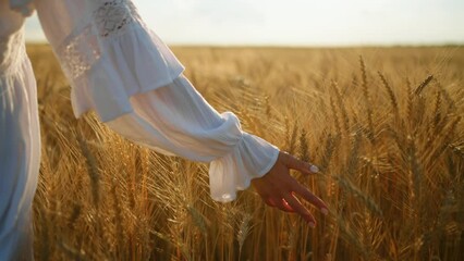 pacification and calmness in rye field, woman is stroking ears of ripe wheat, growing cereals crops