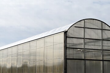 Obraz premium Big Greenhouse