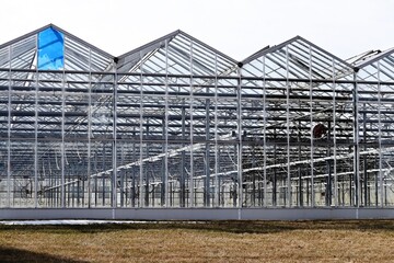 Large Greenhouse