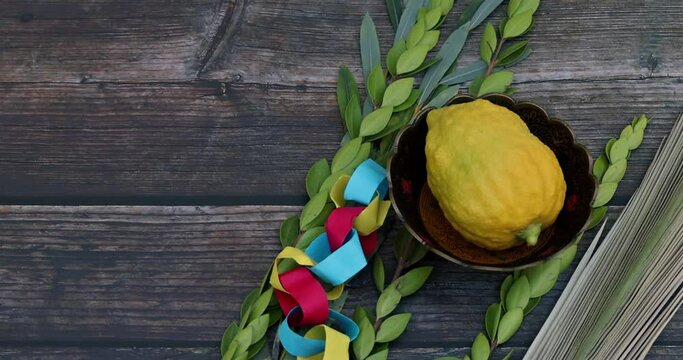 Traditions Jewish holiday celebration of Sukkot amassed with the symbolic elements of etrog, lulav, hadas, and arava