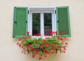 Charming old window with green shutters and red geraniums flowers