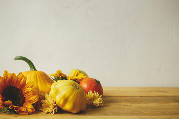 Happy Thanksgiving! Colorful autumn flowers, pumpkins, pattypan squashes on wooden table against rustic background. Atmospheric autumn still life. Seasons greeting card, space for text