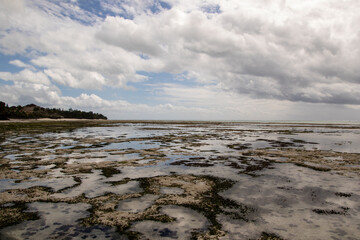 A view of the beach at low tide in Zanzibar