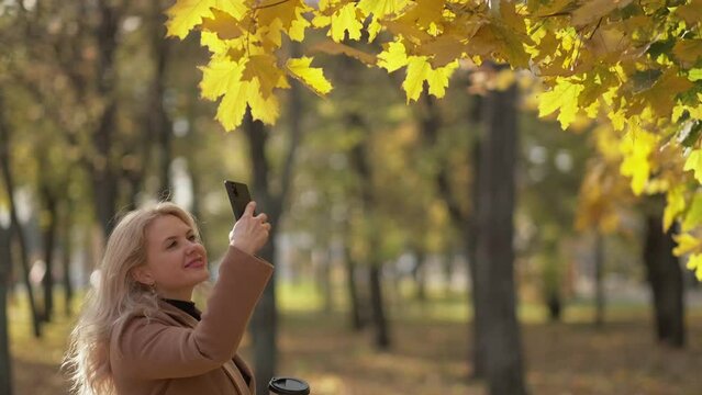 Autumn beauty. Happy woman. Mobile photo. Pretty smiling lady staying in autumn park shooting yellow maple tree leaves on smartphone.