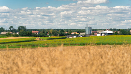 Fototapeta na wymiar Countryside houses and special agricultural containers. Blue clouded sky. Grown wheat in the blurred foreground. Harvesting season. High quality photo