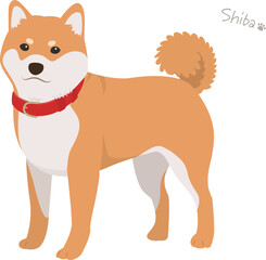 柴犬_赤毛_ベクターイラスト