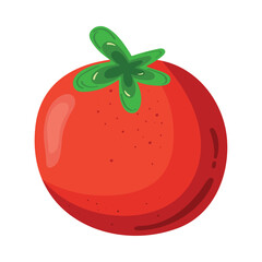 fresh tomato vegetable