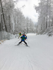 Fototapeta na wymiar スキートレーン林間コースの小学生　スキースクールレッスン