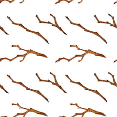Watercolor illustration of a pattern of dry branches without leaves. Bare snags, dry branches. Agriculture, eco friendly, organic farm. For the design of design compositions on the theme of tourism, 