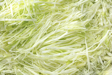 Finely shredded cabbage lightly immersed in water. Cooking preparation.