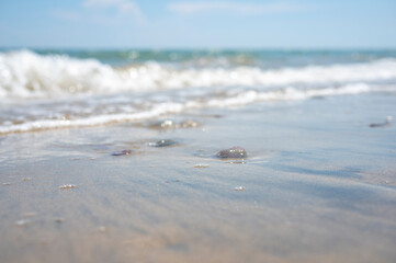夏の砂浜