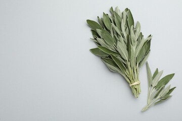 Bunch of fresh sage on light background, flat lay. Space for text