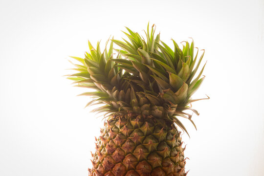 Pineapple, a sweet multiple fruit. Ananas comosus. This sample grows in Asia, Philippines. Vegan vegetarian option.