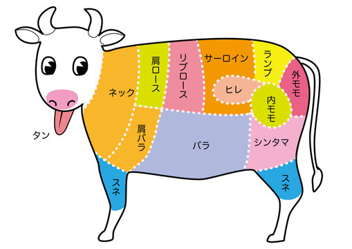 部位 Images Browse 1 955 Stock Photos Vectors And Video Adobe Stock