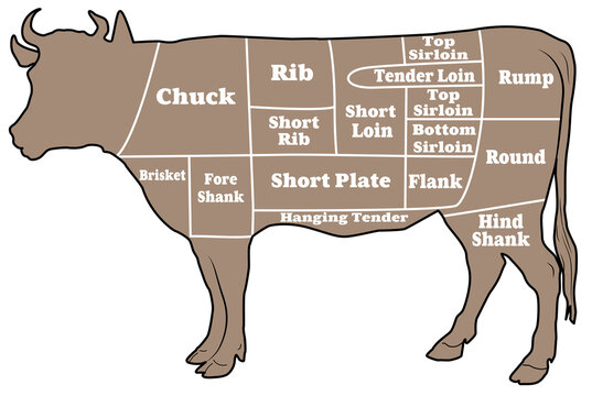 部位 Images Browse 1 950 Stock Photos Vectors And Video Adobe Stock