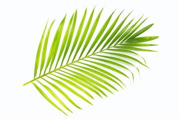 Obraz premium Crispy banana sticks. Fruit snack