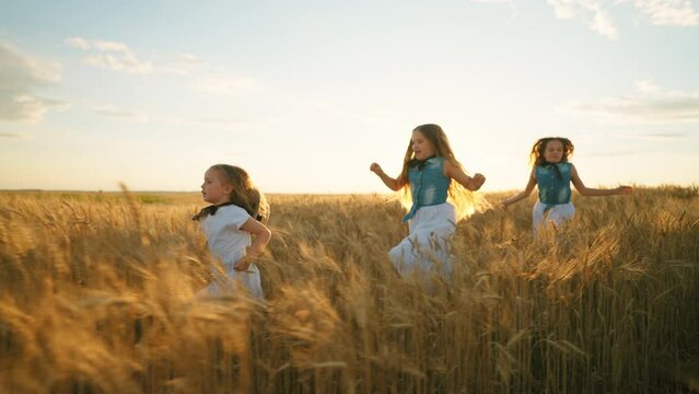 happy kids are running on rye field in summer in sunset, slow motion shot, girls are resting in countryside