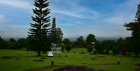 Scenery of trees, forests and mountains.