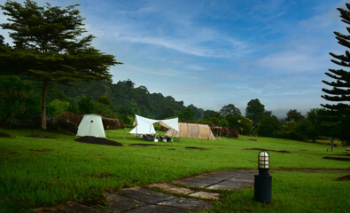 Nature at the campsite with morning dew  © Diamon jewelry