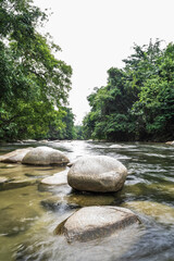 Large stones on the river surrounding by the rainforest trees.