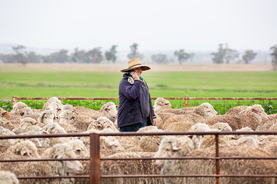 Female farmer using an iphone in the yards