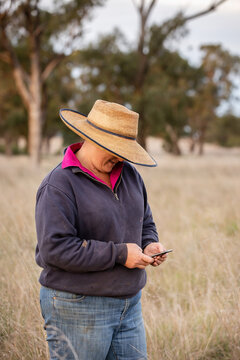 Female Farmer Using An Iphone To Text In The Paddock