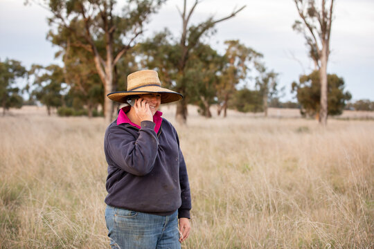 Female Farmer Using A Mobile Phone In The Paddock