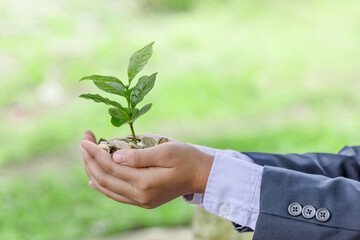 Fototapeta na wymiar Business man hands hold coffee plant growing in coins. Care of the Environment. Ecology concept