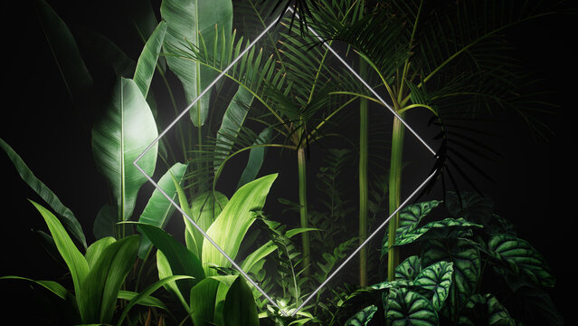 Trendy Background Design. Tropical Plants with White, Diamond shaped Neon Frame.