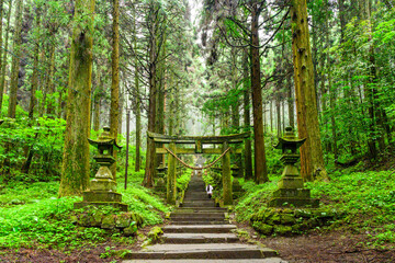 朝霧・新緑・鳥居・観光客
Morning mist, fresh greenery, torii,...