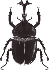 カブトムシ beetle - obrazy, fototapety, plakaty