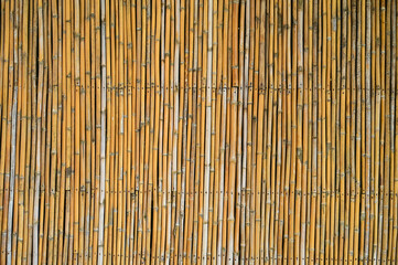 wooden bamboo wall background for interior design