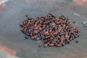 Cacao, Semillas de México