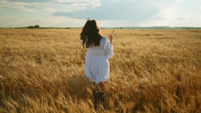 graceful woman in white dress is walking alone in field of ripe golden rye and admiring natural landscape