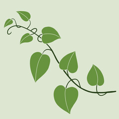 Simplicity ivy freehand drawing flat design.