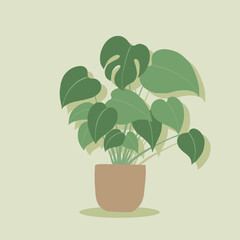 Simplicity monstera plant freehand drawing flat design. © tanarch
